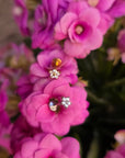 Piercing Fiore 1