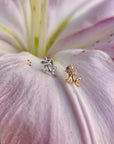 Piercing Fiore 4