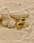 Anello Paguro