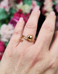 Anello gatto