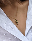 Collana Cavalluccio Marino