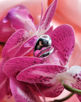 Anello coconut