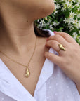 Anello Paguro
