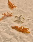 Anello Seastar