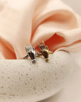 Anello corna
