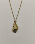 Collana Paguro
