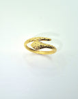 Anello Snake