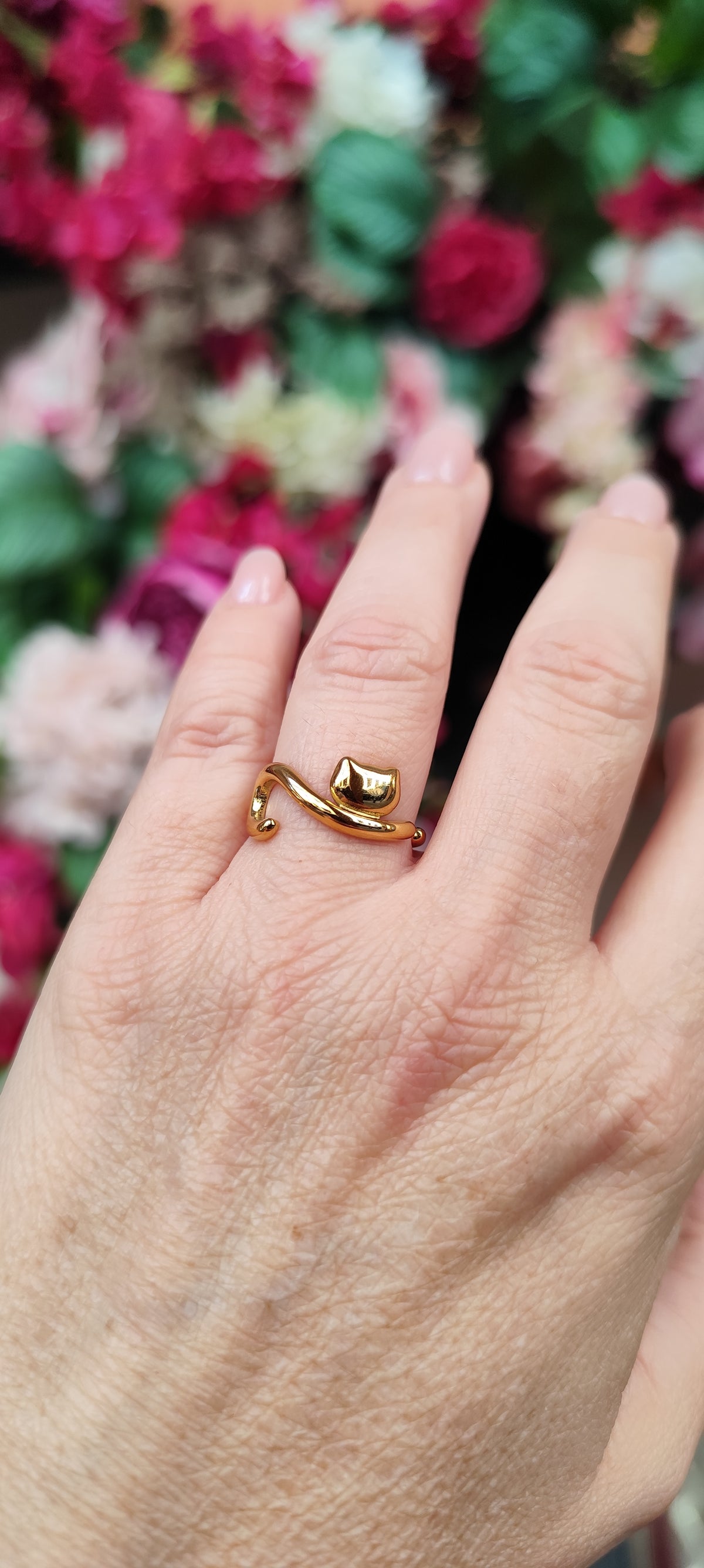 Anello gatto