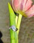 Anello Crystal drop