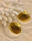 Orecchini Conchiglia
