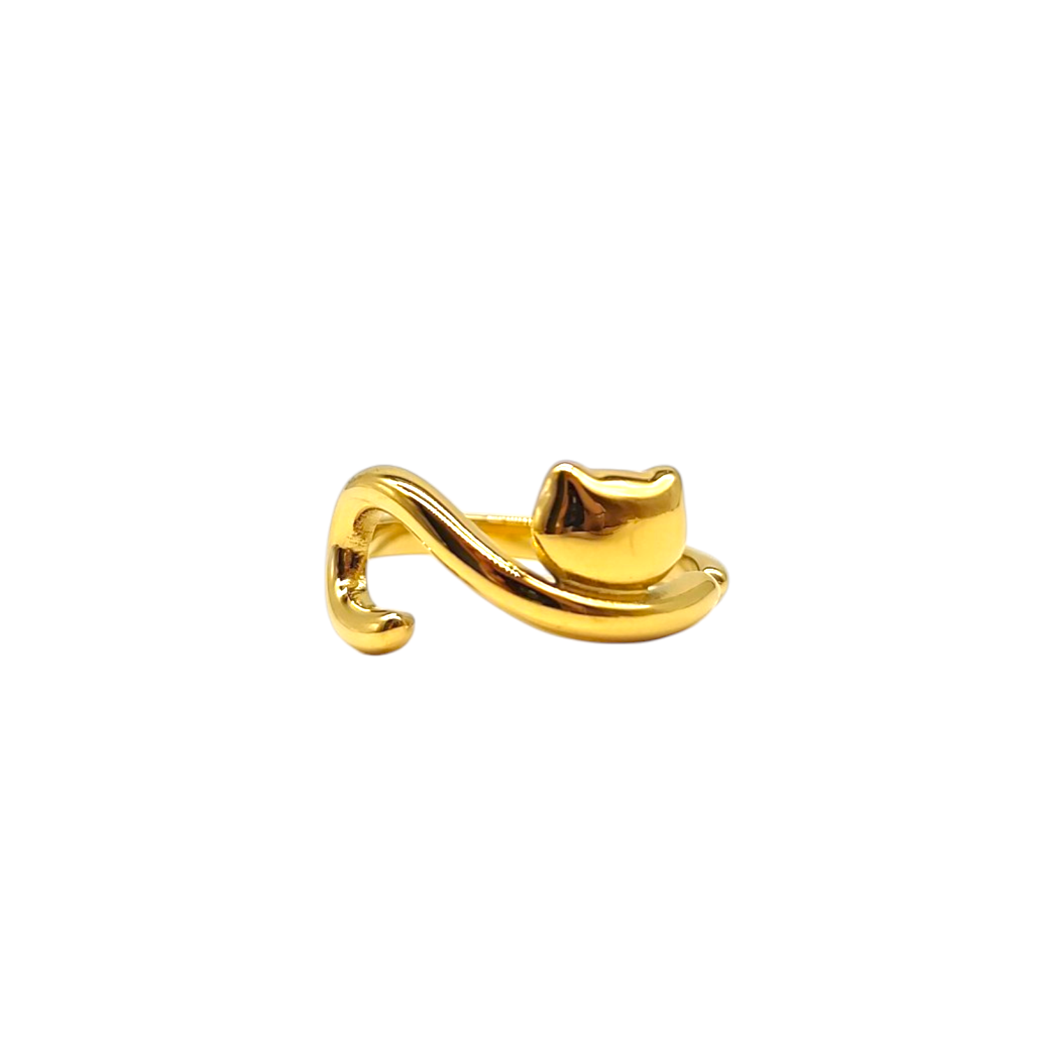 Anello gatto