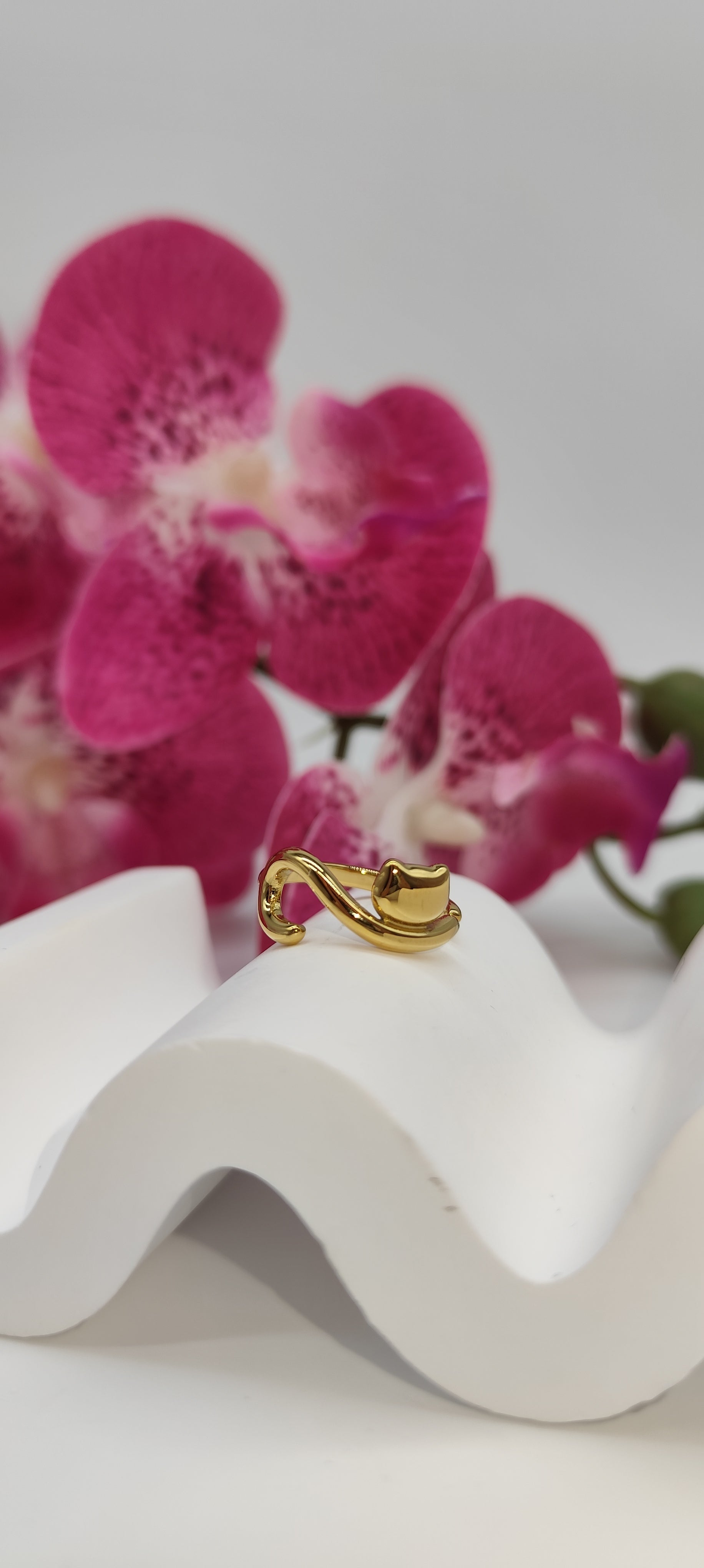 Anello gatto