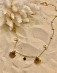 Collana Multiconchiglia